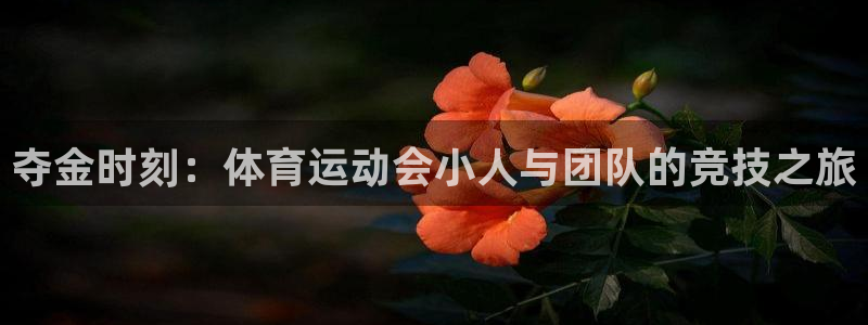 球王会体育