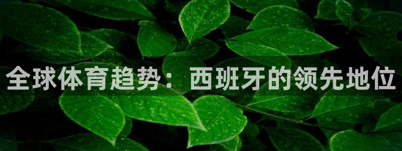 球王会体育