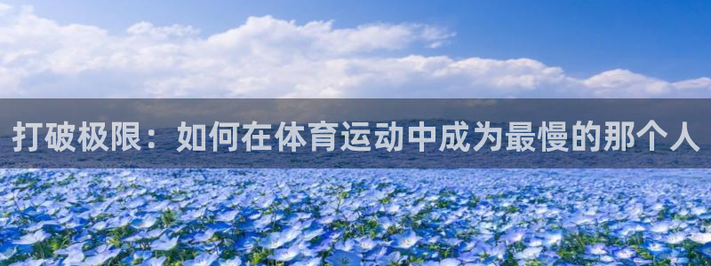 球王会体育