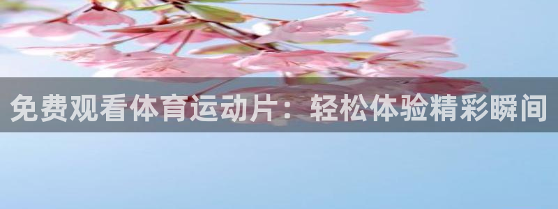 球王会体育