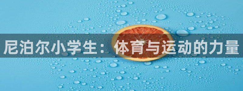 球王会体育