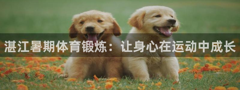 球王会体育
