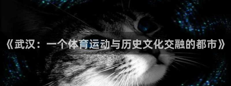 球王会体育