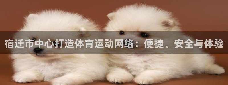 球王会体育