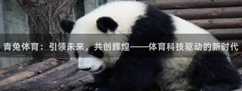 球王会体育