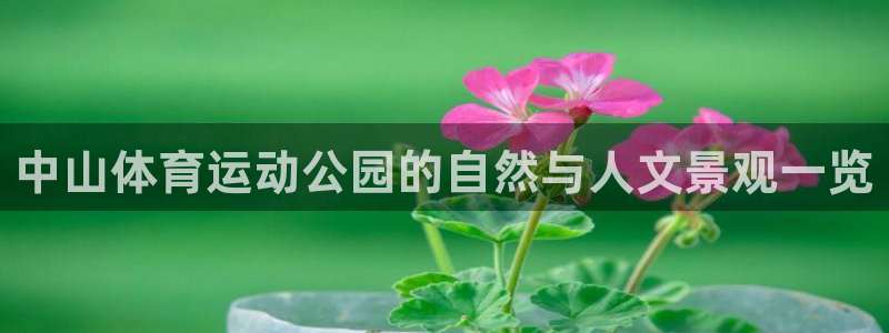 球王会体育