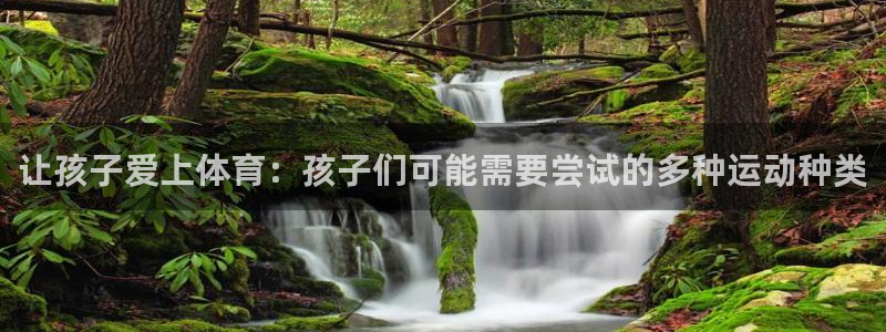 球王会体育