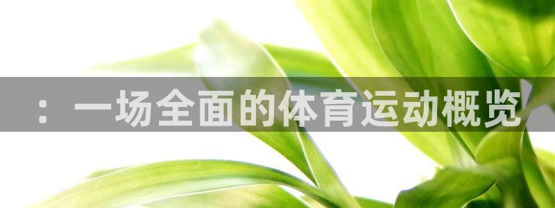 球王会体育