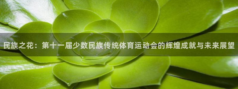 球王会体育