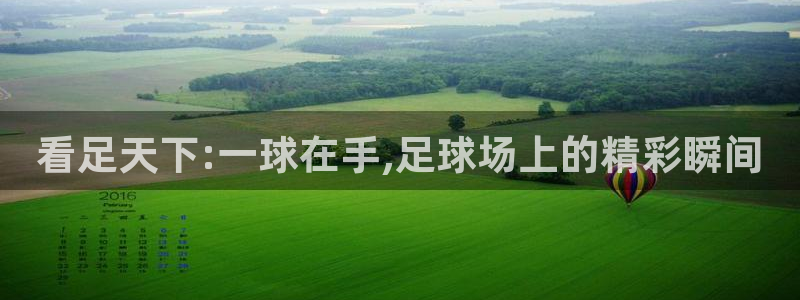 球王会体育
