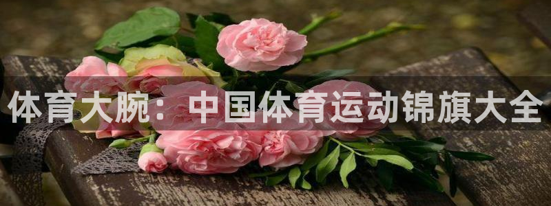 球王会体育