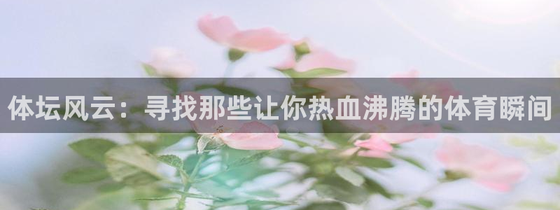 球王会体育